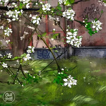 Spring Patterns