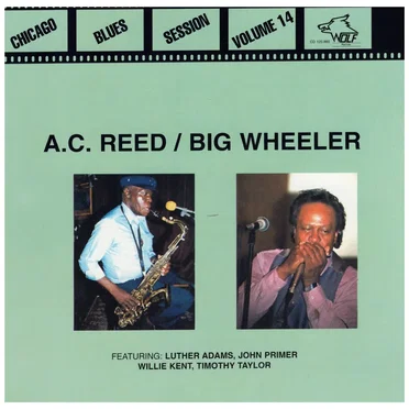 Chicago Blues Session, Volume 14