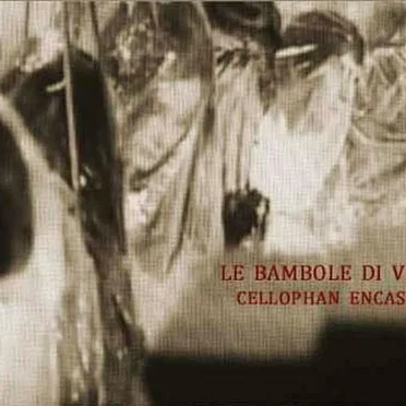 Cellophan Encasement