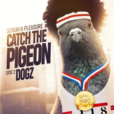 Catch the Pigeon / Dogz