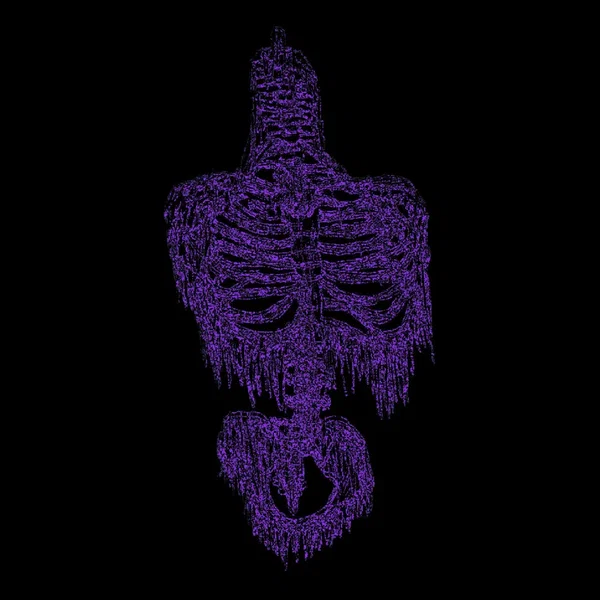 Split EP