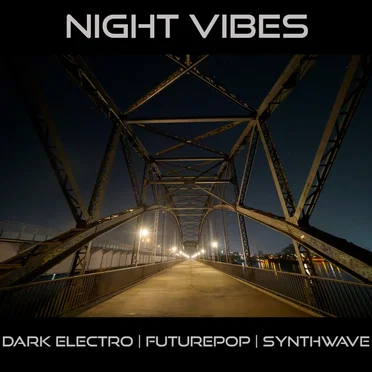 Night Vibes by Various Artists - album cover