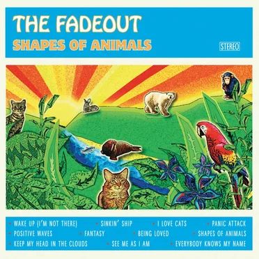 Shapes of Animals