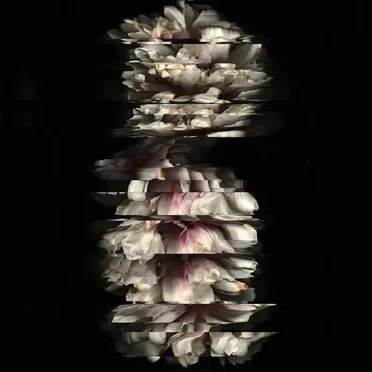 BLACKSHAPE by BLACKSHAPE - album cover