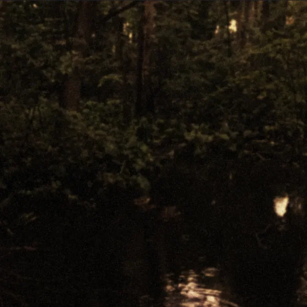 Night Rain