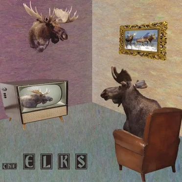 This Is Not The Ant by The Elks - album cover