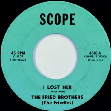 I Lost Her by The Friedles - album cover