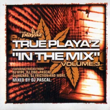 True Playaz in the Mix, Volume 3 by Various Artists - album cover