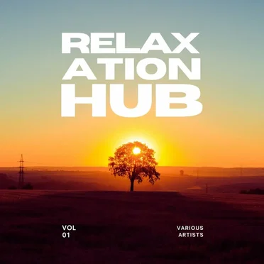 Relaxation Hub, Vol. 1 by Various Artists - album cover