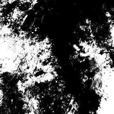 Our Eyes Slowly Burn, but There Is Nothing Left to See