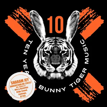 Understand Me (Evokings remix)