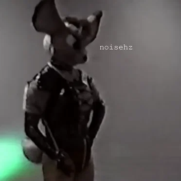 noisehz
