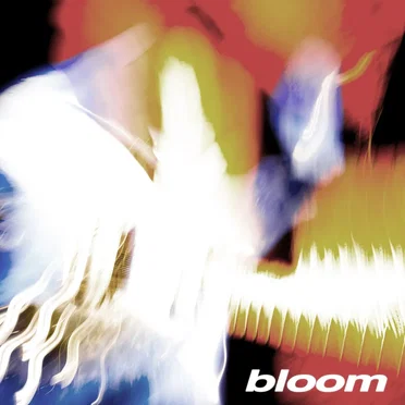 Rise 7" by Bloom - album cover