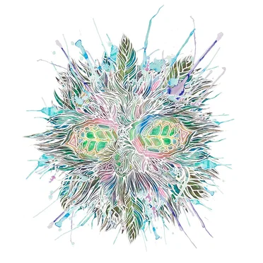 Hyperdimensional Animals