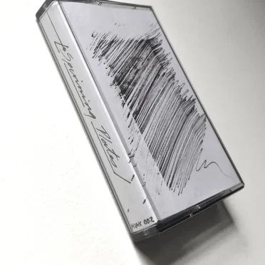Spinning Plates by Scott Douglas Gordon - album cover