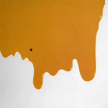 Flea on the Honey by Flea on the Honey - album cover