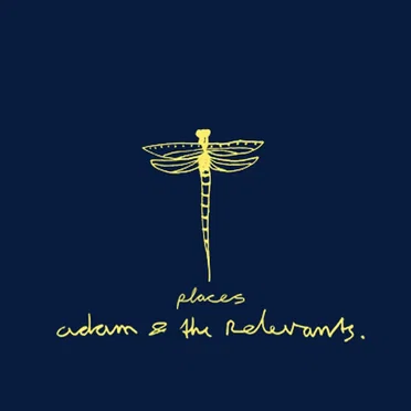 Places (radio edit) by Adam & the Relevants - album cover