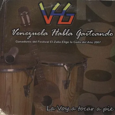 La voy a tocar a pie by VHG - album cover