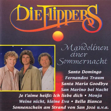 Mandolinen Einer Sommernacht