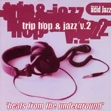 This is Acid Jazz: Trip Hop & Jazz V.2 by Various Artists - album cover