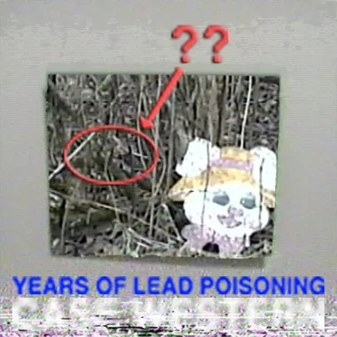 Years of Lead Poisoning