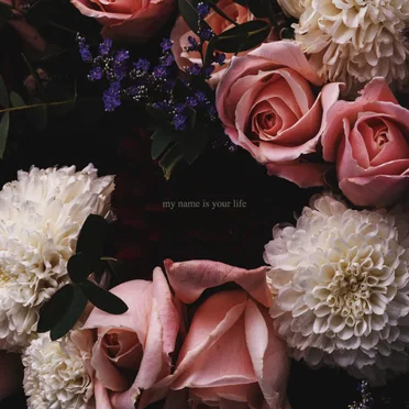 my name is your life