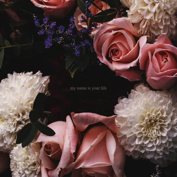 my name is your life