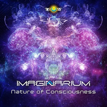 Nature of Consciousness