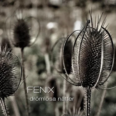 Drömlösa nätter by Fenix - album cover