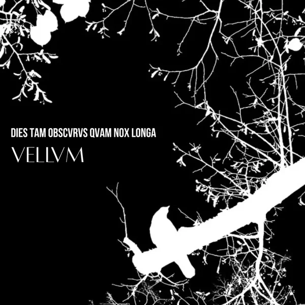 DIES TAM OBSCVRVS QVAM NOX LONGA