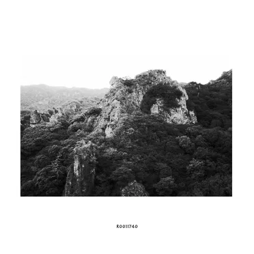 R0011740