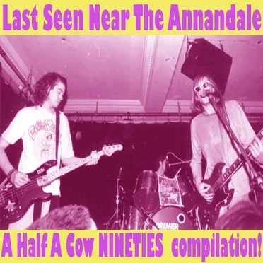 Last Seen Near The Annandale - A Half A Cow Nineties Compilation by Various Artists - album cover