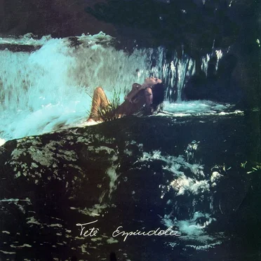 Pássaros na garganta by Tetê Espíndola - album cover