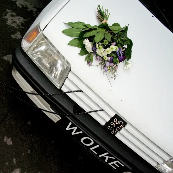 WOLKE