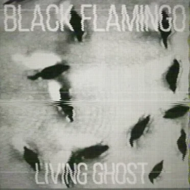 Living Ghost by Black Flamingo - album cover