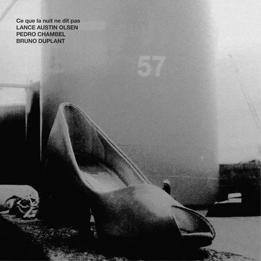 Ce que la nuit ne dit pas