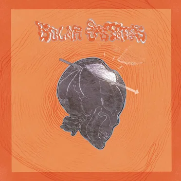 Solar Estates by Solar Estates - album cover