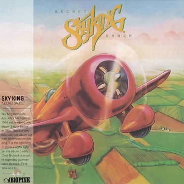 Secret Sauce by Sky King - album cover
