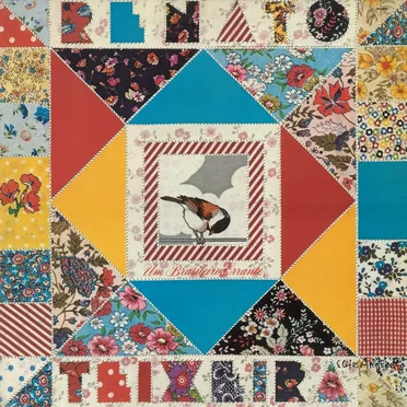 Um brasileiro errante