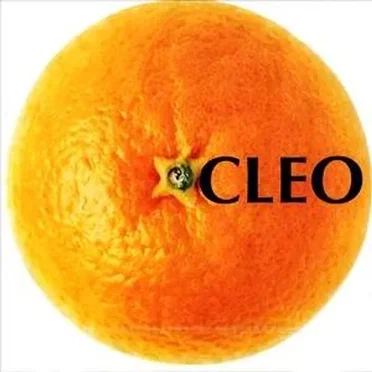 CLEO