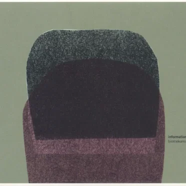 Biomekano by Information - album cover