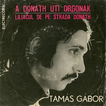 A Dónáth Úti Orgonák