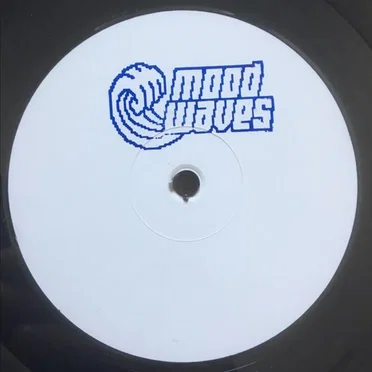 The Experience EP by Data Memory Access - album cover