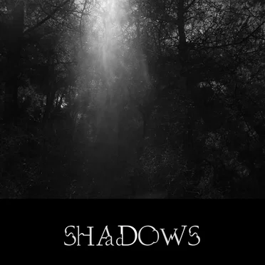 Shadows by Bienheldenschafgegenstand - album cover