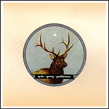 Pale Young Gentlemen by Pale Young Gentlemen - album cover