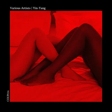 Yin-Yang by Various Artists - album cover