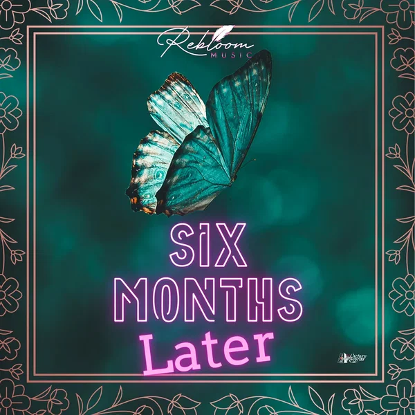 Six Months Later