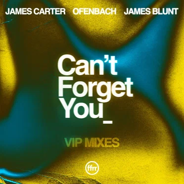 Can’t Forget You (VIP mixes)