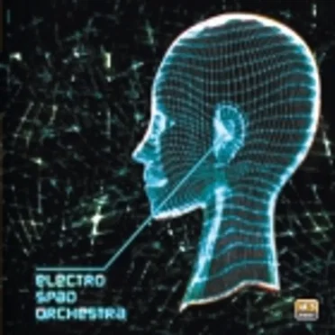 Electro Spad Orchestra by Franck Roussel - album cover