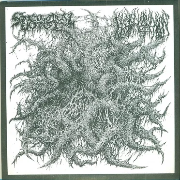 Mephitic Effluvia